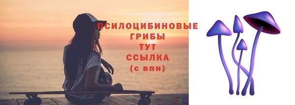 прущая мука Алзамай