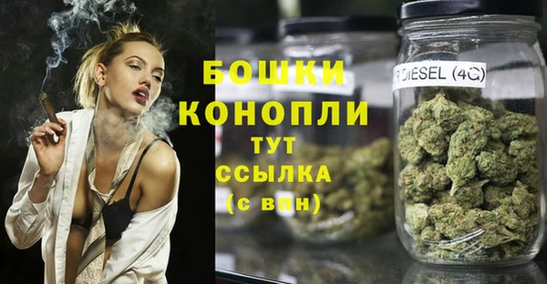 ешки Алексин