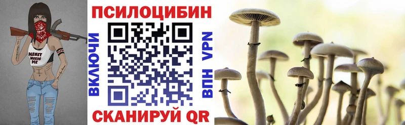 omg tor  Приморск  Псилоцибиновые грибы Psilocybine cubensis 